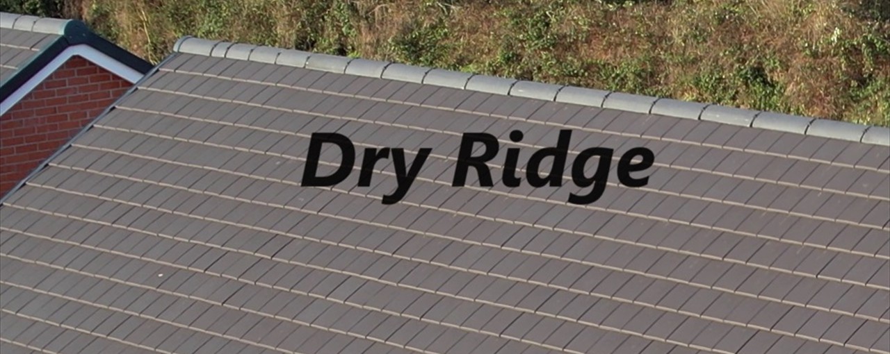 Dry Fix: Dry Ridge